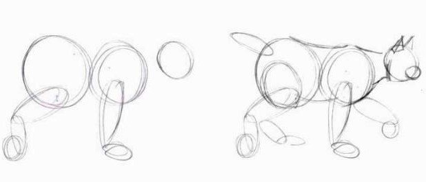 Πώς να σχεδιάσετε έναν λύγκα βήμα προς βήμα