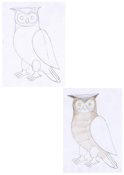 Comment dessiner une chouette ? Leçons étape par étape avec Stabilo