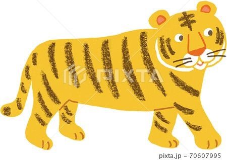 Comment dessiner un gros tigre
