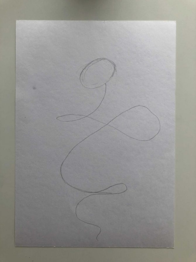 Comment dessiner un serpent au crayon étape par étape - Cobra étape 1 - photo