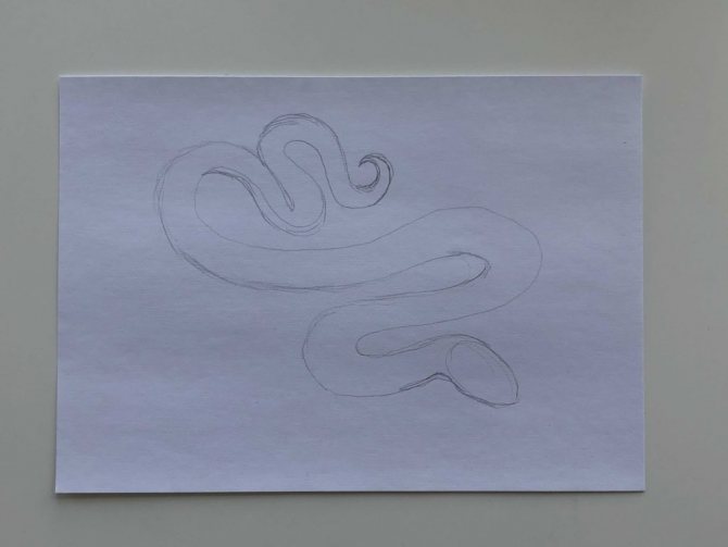 Comment dessiner un serpent au crayon étape par étape - serpent simple 1ère étape - photo