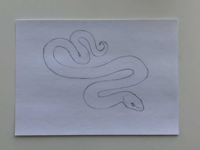 Comment dessiner un serpent au crayon, étape par étape - serpent simple étape 2 - photo