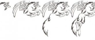 Cos'è un lupo con le ali?