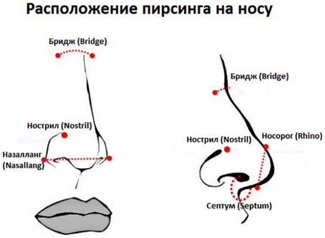 Miten lävistää väliseinän lävistykset kotona