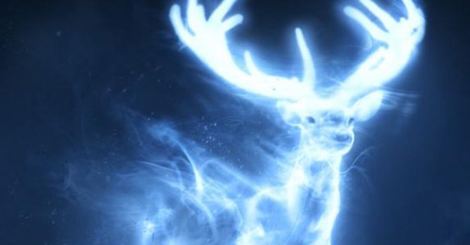 Wie man sein Totem herausfindet - Patronus des Hirsches