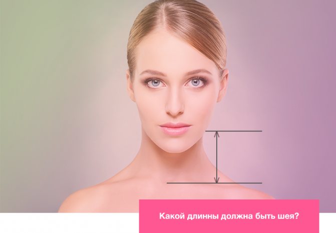 Jak dlouhý by měl být můj krk?
