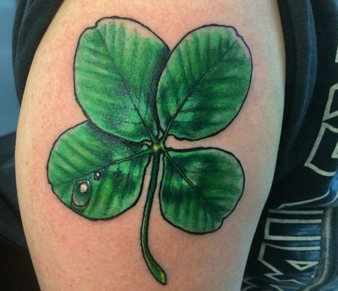 Wassertropfen auf einem Blatt