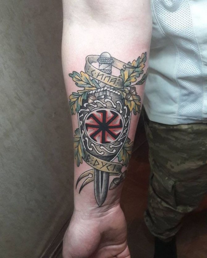 photos d'un rotifère