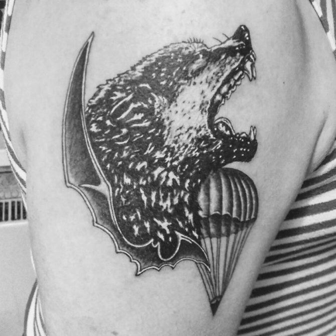 Katonai felderítő denevér képek