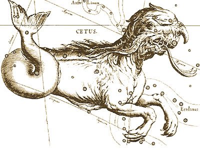 Constellation des baleines