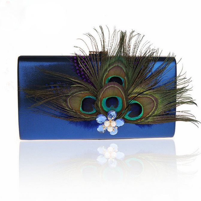Pochette avec plumes