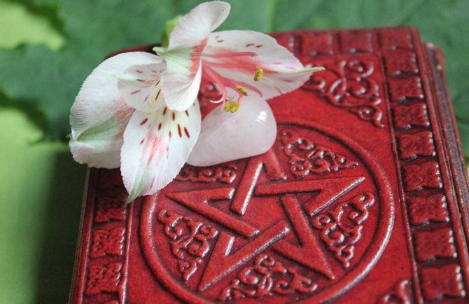 Книга за магията на Уолкнът