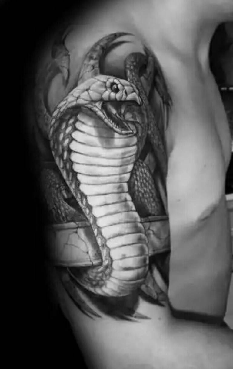 Cobra sur l'avant-bras