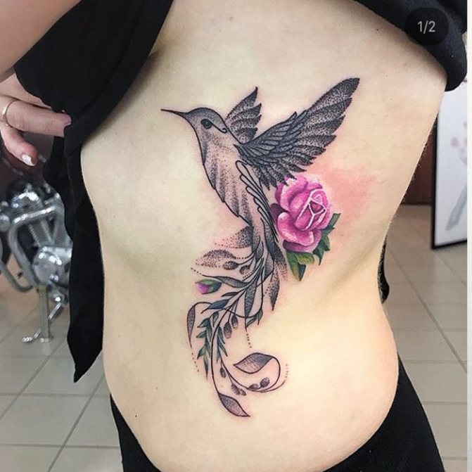 colibri tatouage pivoine oiseau photo