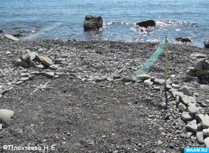 Ratschläge für Lehrer und Eltern Eine Windrose. Was ist das und was bewirkt es?