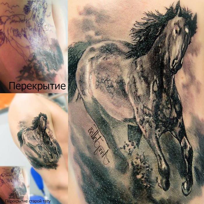 кон за корекция на татуировки