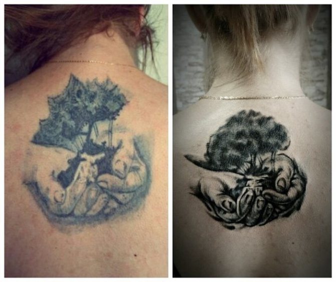 корекция на татуировката на гърба палма