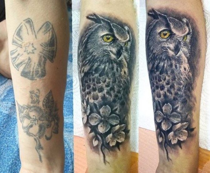 корекция на татуировката бухал