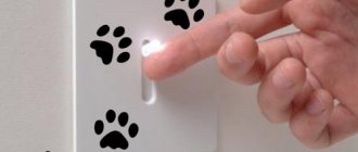 Τα πόδια μιας γάτας