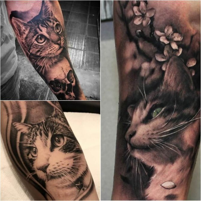 Tatouage de chat réaliste 3