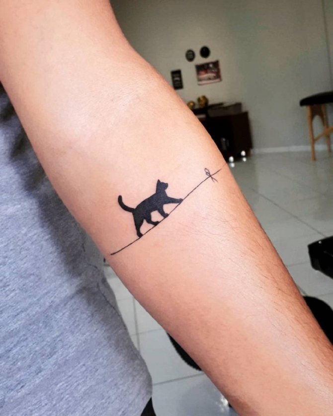 tatouage de chat