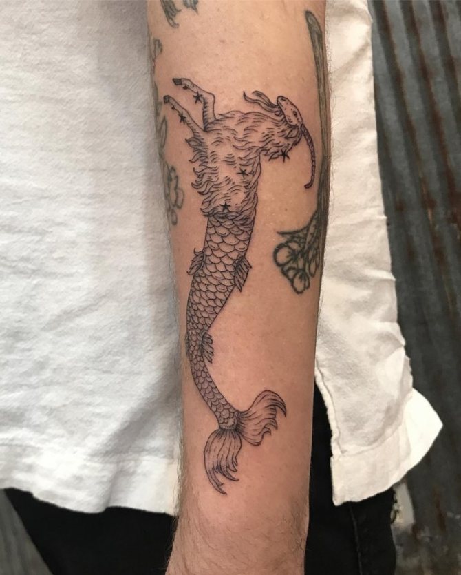 Photos du Capricorne