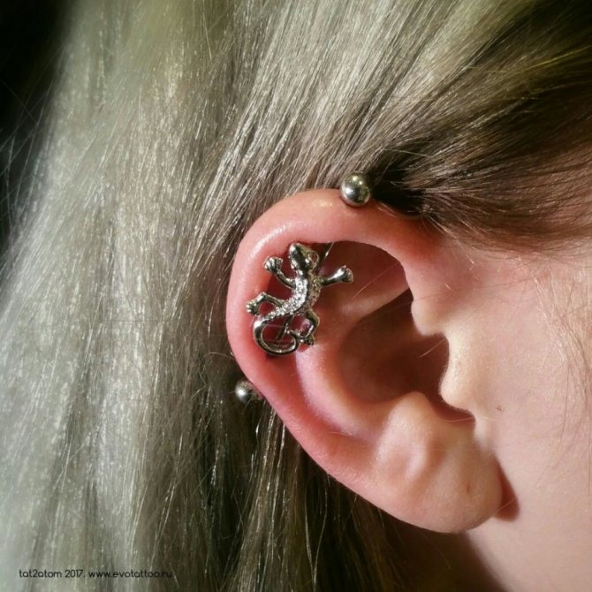 Krásný průmyslový piercing do ucha: Salamander bar