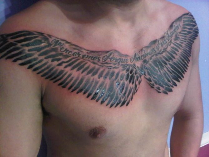 Wings on a man's chest