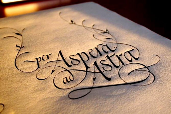 Phrases d'amour en latin