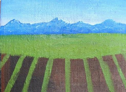 lavande comment dessiner