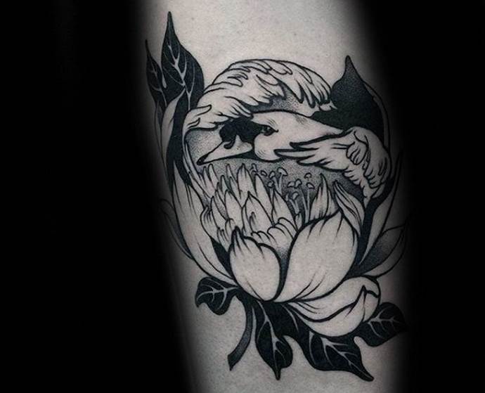 κύκνος σε λουλούδια