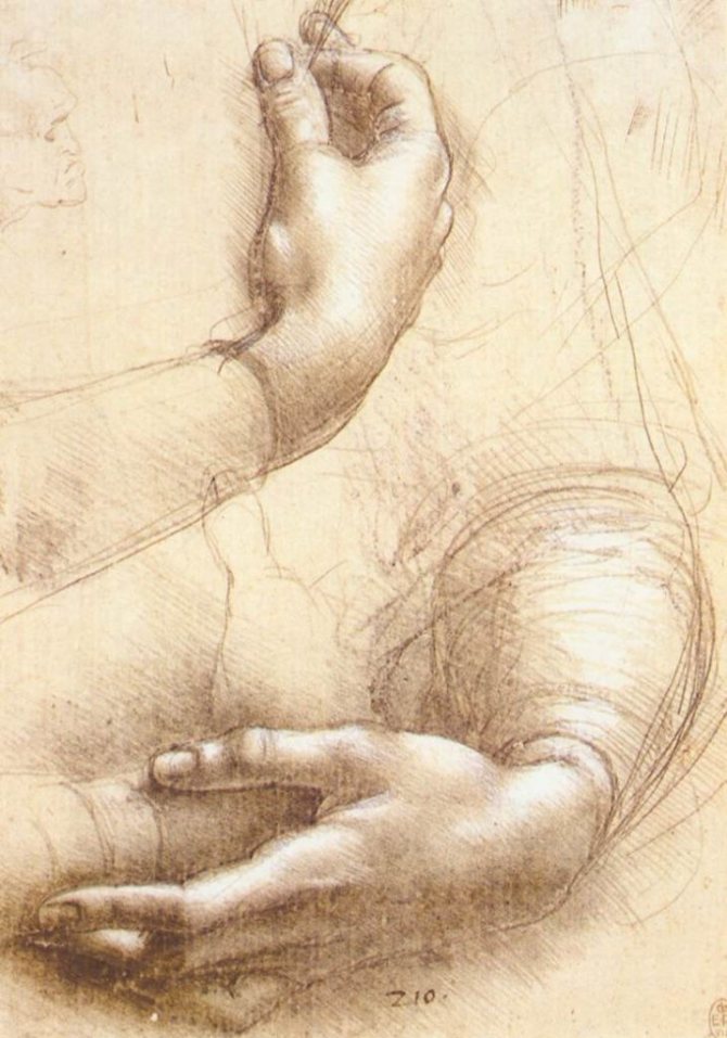 Leonardo da Vinci - Croquis de mains