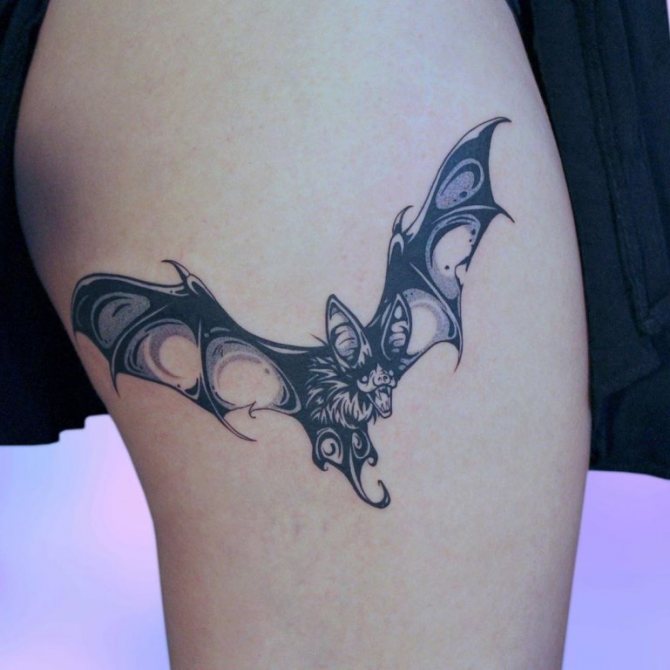 dessin de chauve-souris