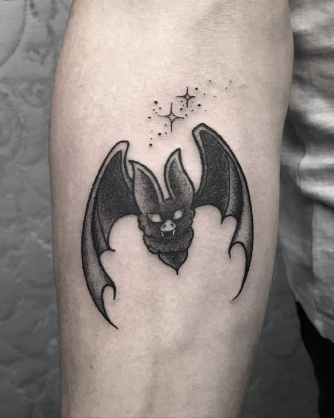 croquis de chauve-souris