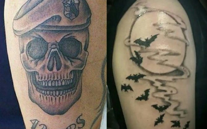 Murciélago y calavera con boina