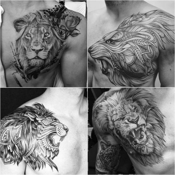 lion