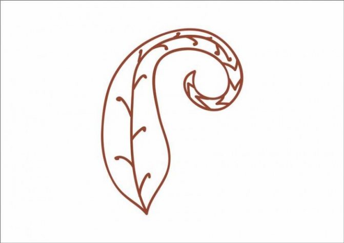 Une feuille de mehendi en forme de spirale