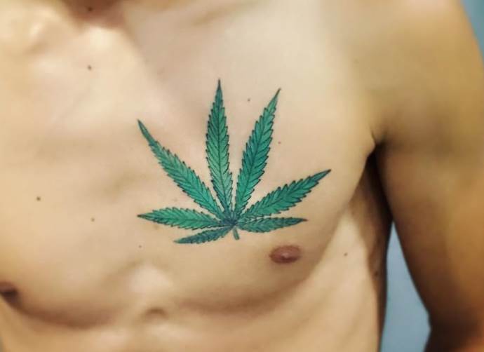 feuille de cannabis sur la poitrine