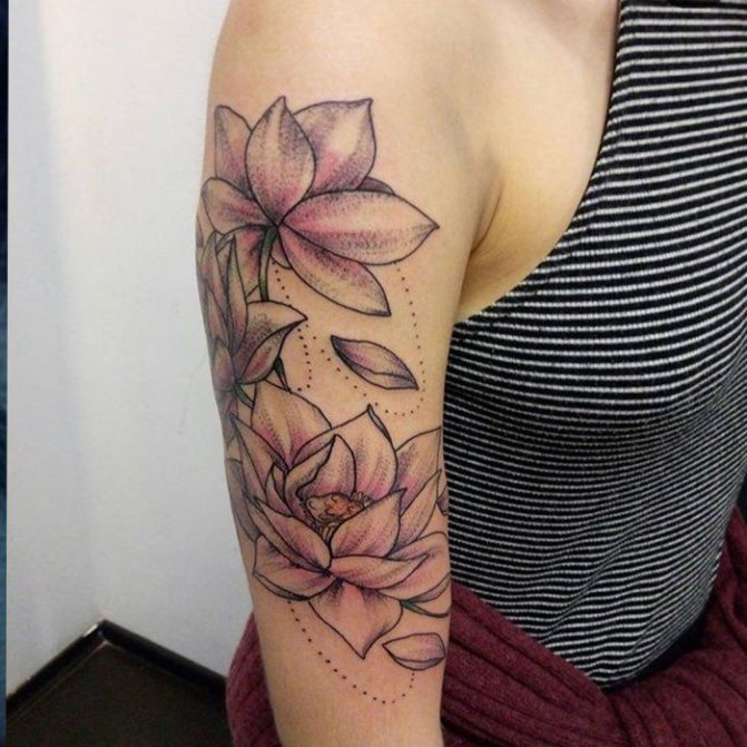 fleur de lotus sur le bras coloré