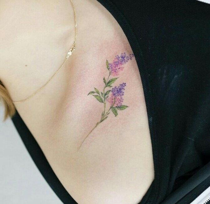 Petit tatouage délicat de branche de lilas sur la clavicule
