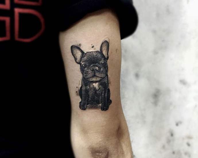 small dog on the elbow