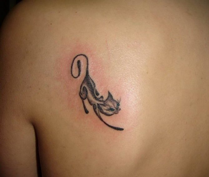 Pieni tatuointi - siro kissa