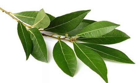 Meditace o bohatství