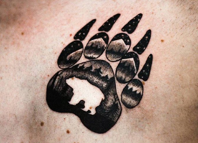 Bear paw