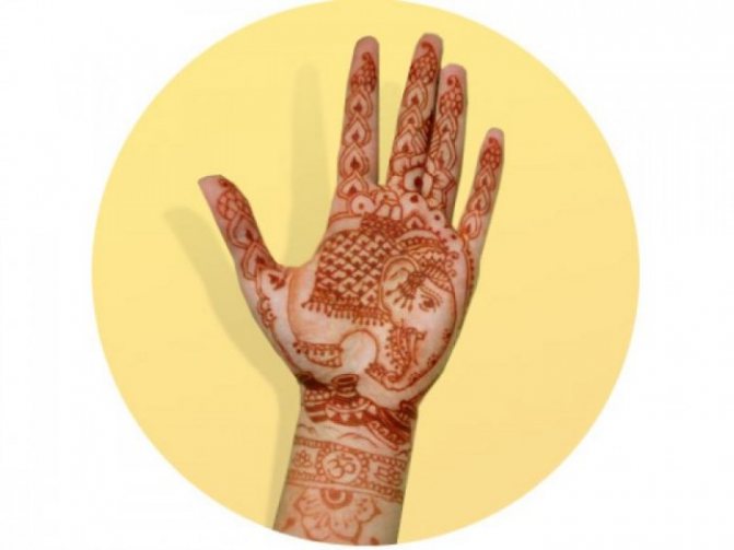 Mehendi éléphant