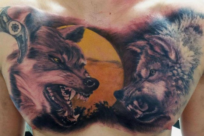 Visage de Pixie avec un sourire de prédateur