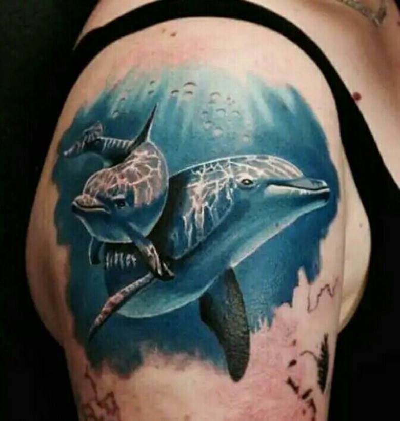 Dauphin dauphin marin à thème