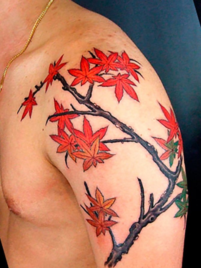 You can even get a whole branch tattoo with maple leaves