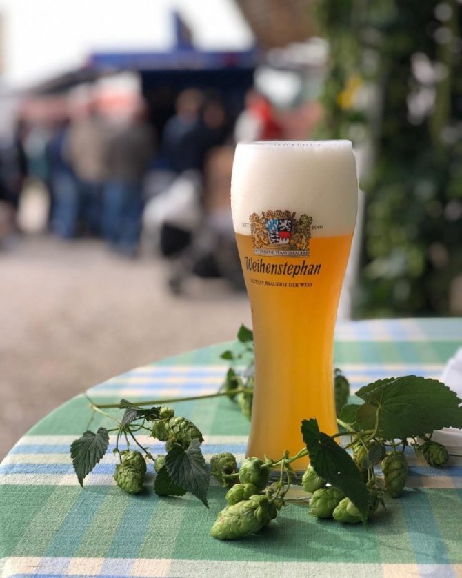 can you drink after a tattoo