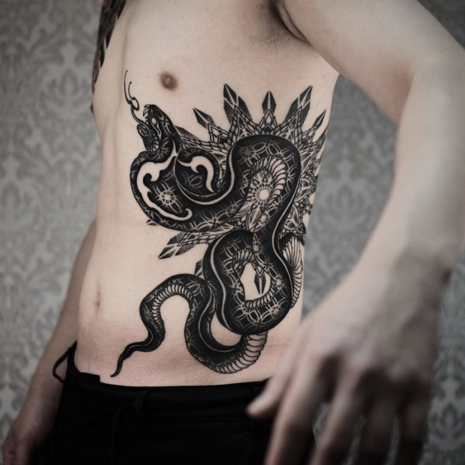 Tatouage de serpent sur le côté pour les hommes